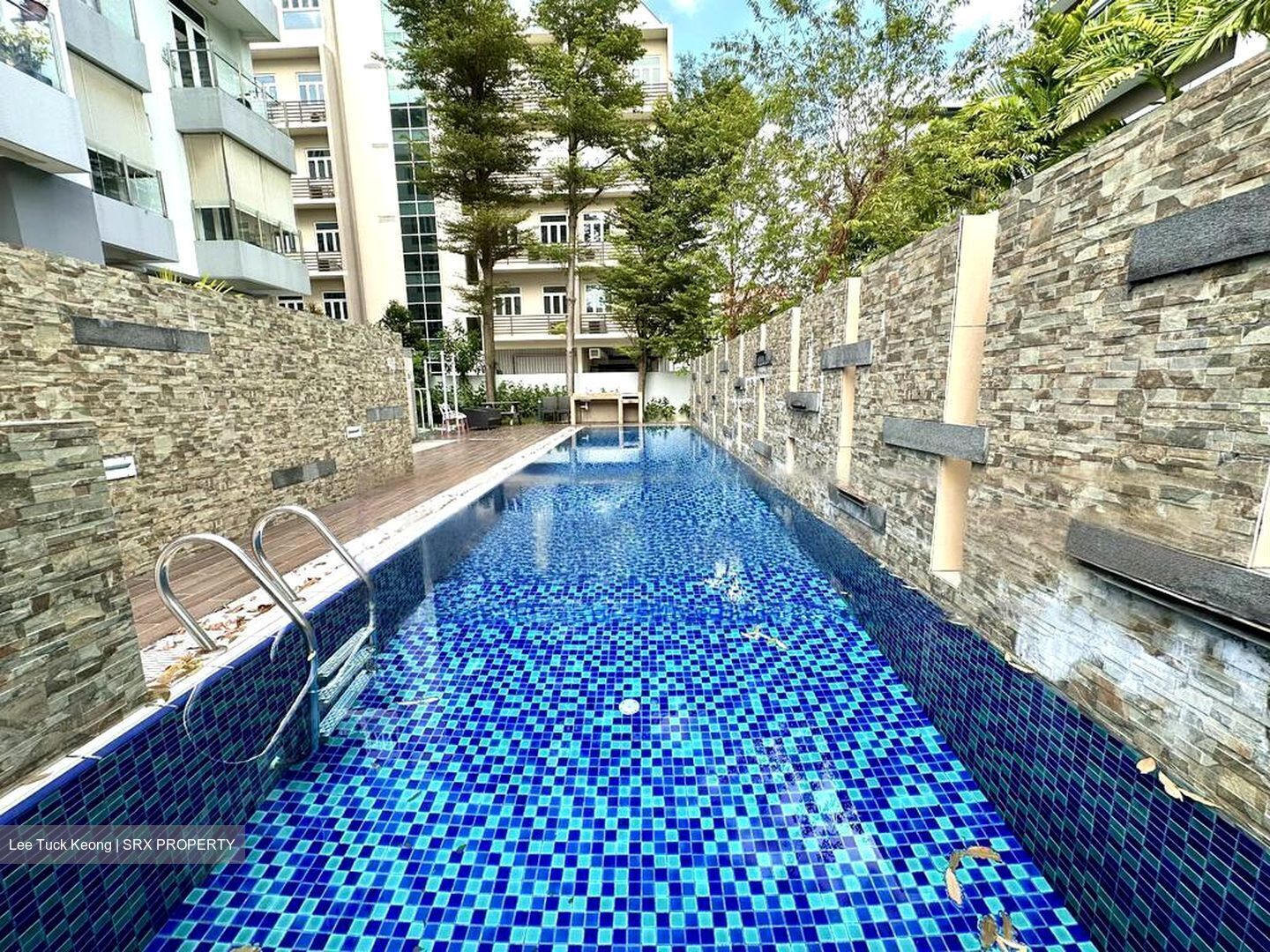 Onan Suites (D15), Apartment #454672241
